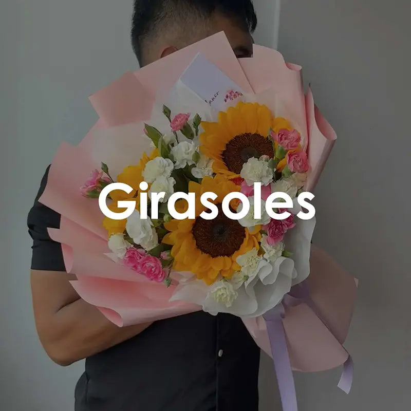 GIRASOLES