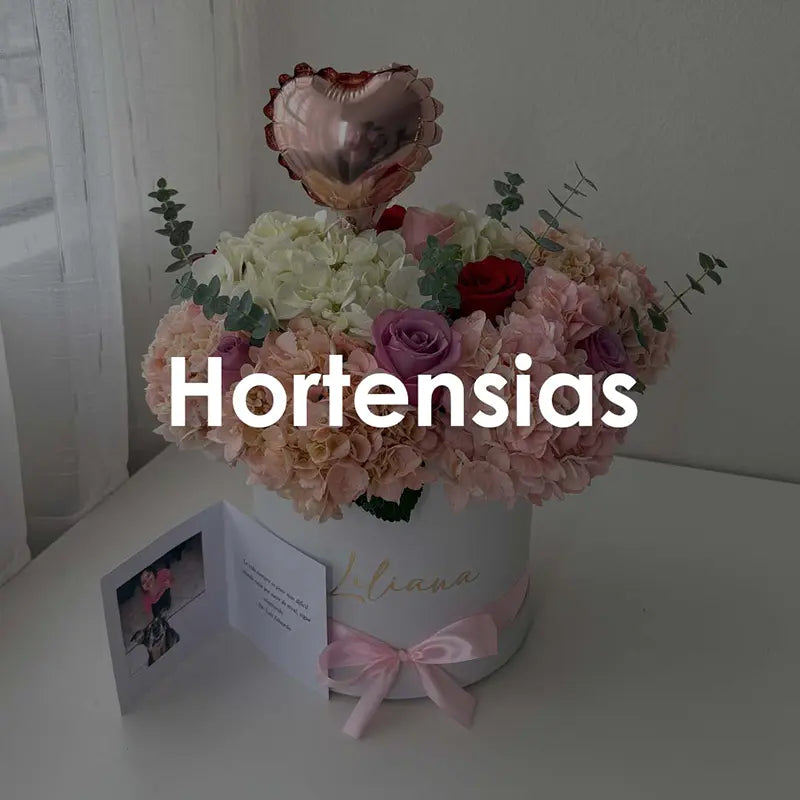 HORTENSIAS