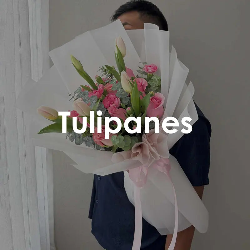 TULIPANES