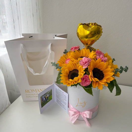BOX DE GIRASOLES