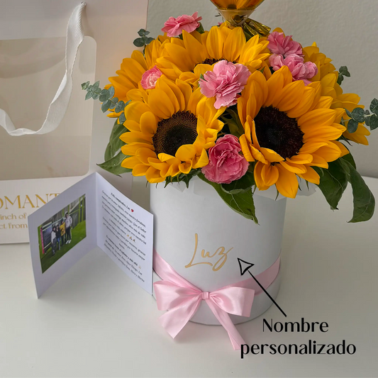 BOX DE GIRASOLES